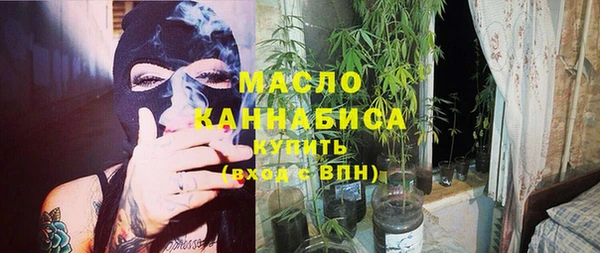 сатива Елабуга