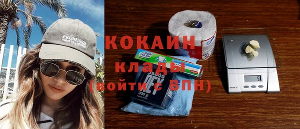 сатива Елабуга